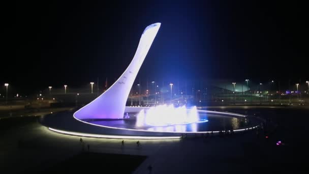 Sochi, Rússia - 2014: fonte de dança no Parque Olímpico de Sochi à noite — Vídeo de Stock