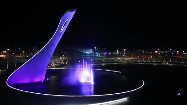 Sochi, Rusya - 2014: Sochi Olimpiyat Parkı, geceleri yukarıdan gelen çeşme — Stok video