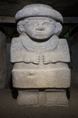 satranç tahtasının Vizsla köpek 