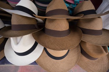 Panama şapka çeşitli Ekvator 