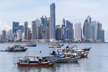 Panama şehir manzarası 