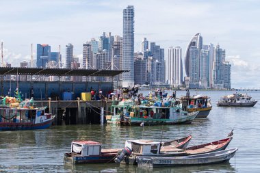 Panama şehir manzarası 