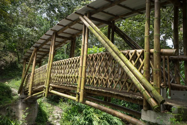 Бамбук міст Колумбії — стокове фото