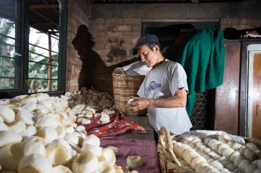 Kolombiyalı küçük fırın erkekte 