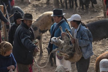 bitmemiş panama şapka fabrikası