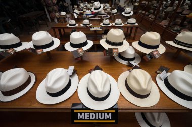 Panama şapka Cuenca ekranda 