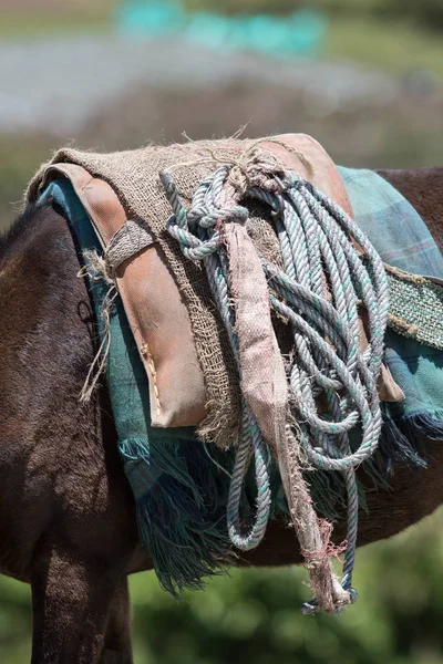 Horse saddle Colombia — Stock Photo, Image