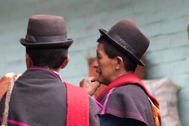 guambioano erkek portre 