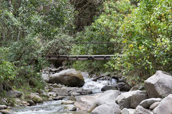 Voet brug over jungle rivier — Stockfoto