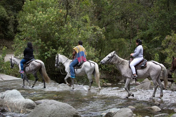 Horse backriding tour — Stock Photo, Image