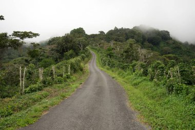 gravel road in Panama's highlands by Boquete clipart