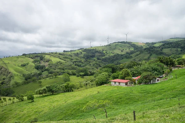 Costa Rica gård — Stockfoto