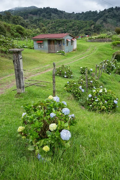 Costa Rica pequeña granja — Foto de Stock