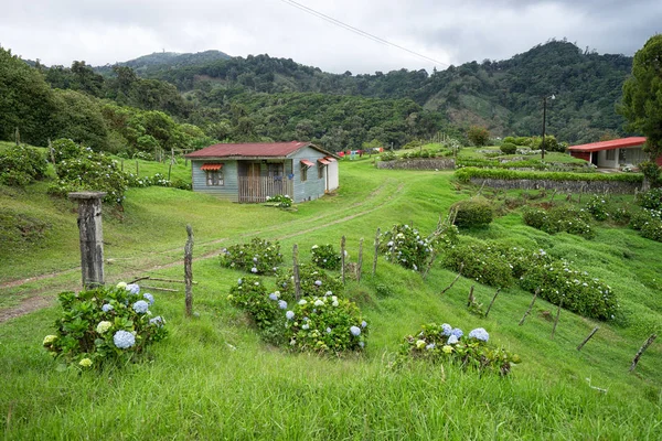 Liten gårdshus i Costa Rica — Stockfoto