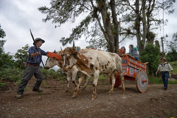 Viering van de dag van de oogst in Costa Rica — Stockfoto