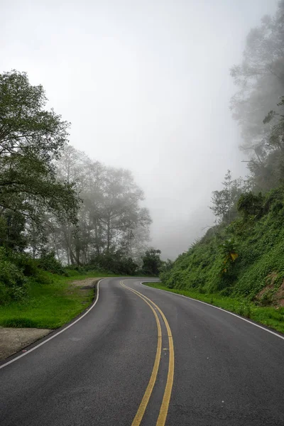 Туманная дорога в Коста-Рике — стоковое фото