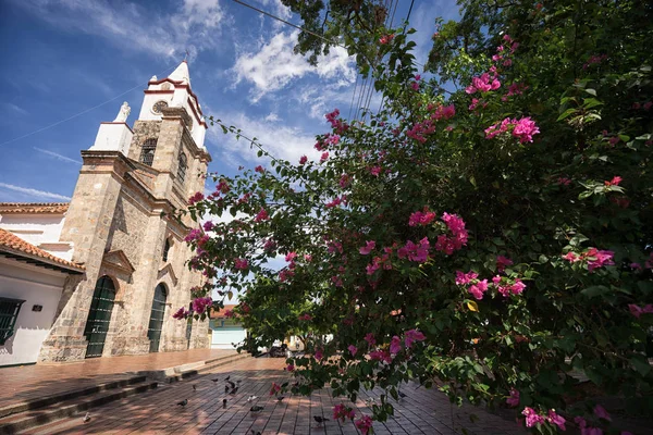 Arbusto con flores en el centro de Honda Colombia — Foto de Stock