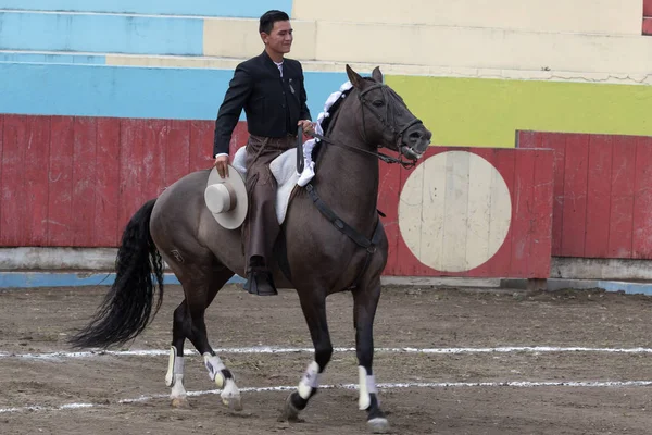 18 juni 2017, Pujili, Ecuador: en ridning torreador cal — Stockfoto