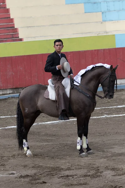 Pujili, Ecuador: en ridning torreador cal — Stockfoto