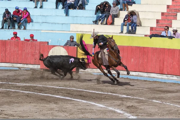 Pujili、エクアドル: 乗馬 torreador cal — ストック写真