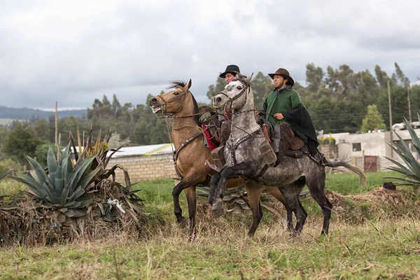 Cowboys på hest tilbage i Andesbjergene - Stock-foto