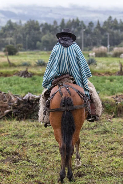 Lonely cowboy on horseback — Stock Photo, Image