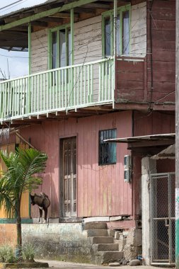 1 Haziran 2017 Cotundo, Ecuador: onun petroglifler için bilinen tropikal şehrin merkezine typcal Mimarlık