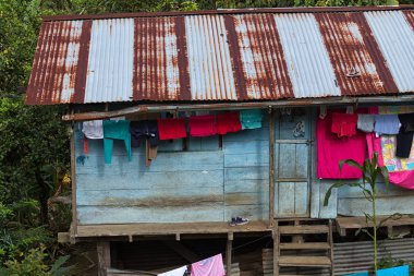 2 Haziran 2017 Jondachi, Ecuador: Amazon bölgesinde ormanda basit ahşap houde