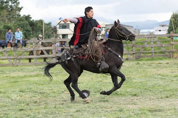 2017 日マチャチ エクアドル カウボーイが投げ縄を押さえながら馬に乗ってアンデス Chagra と呼ばれる — ストック写真