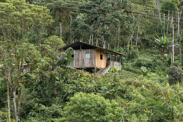 Sencilla Casa Madera Selva Zona Amazónica Ecuatoriana — Foto de Stock