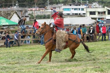 3 Haziran 2017 Machachi, Ecuador: alanında yerli quechua kovboy kılığında geleneksel olarak işleme Kement sırtında