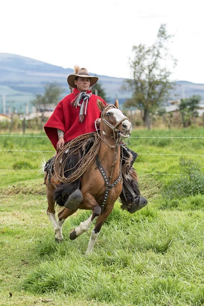 Vaquero a caballo espalda — Foto de Stock
