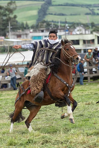 Cowboy na koniu w Ekwadorze — Zdjęcie stockowe