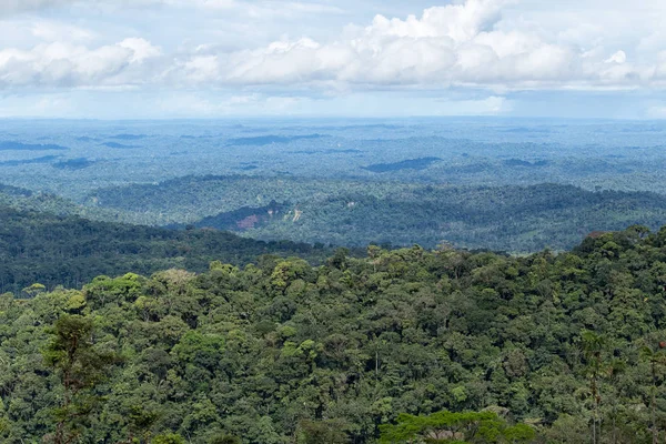 Η λεκάνη Αμαζονίου του Εκουαδόρ — Φωτογραφία Αρχείου