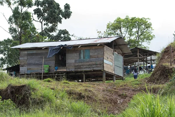 Juni 2017 Lago Agrio Ecuador Typische Behuizing Van Inheemse Bevolking — Stockfoto