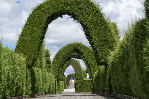 topiary in Tulcan, Ecuador