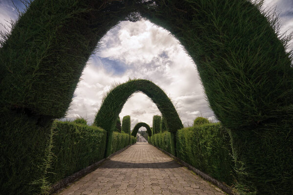 Tulcan Ecuador cemetery topiary