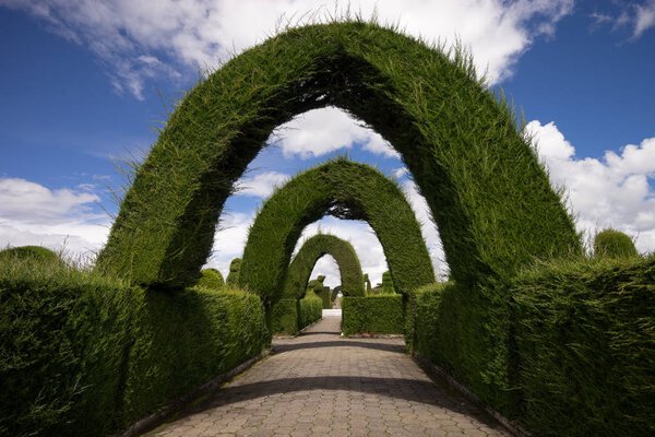 cypress arches in Tulcan Ecuador