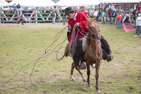 Maja 2017 Sangolqui Ekwador Cowboy Zbieranie Jego Lasso Źle Rzucać — Zdjęcie stockowe