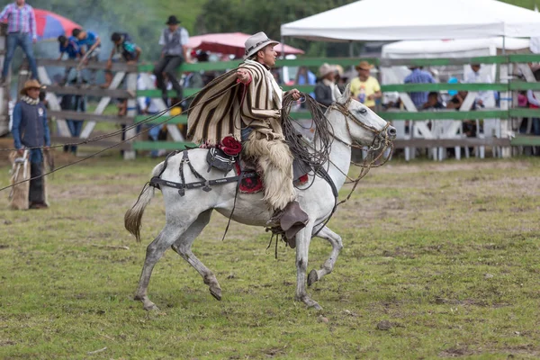 Mayo 2017 Sangolqui Ecuador Vaquero Quechua Indígena Lanzando Lasso Rodeo — Foto de Stock