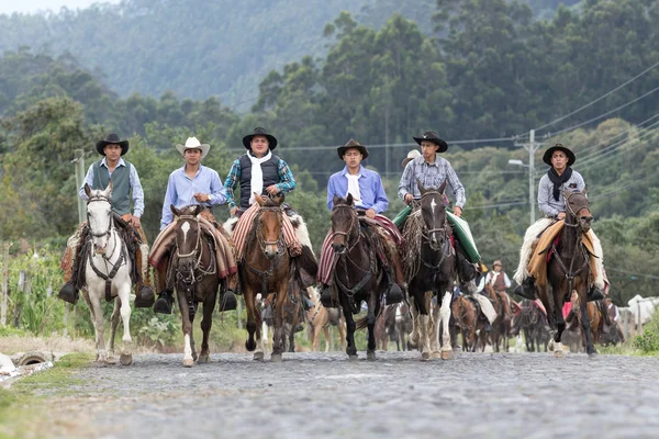 Maj 2017 Sangolqui Ecuador Grupp Cowboys Häst Galopperar Landsväg Anderna — Stockfoto