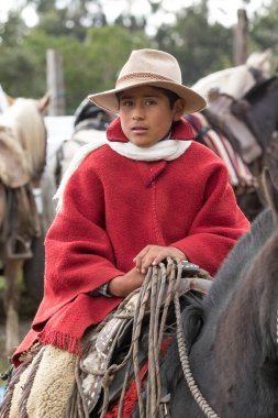 ata geri Ekvador'daki genç kovboy 