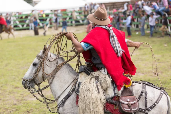 Cowboys på häst tillbaka i Ecuador — Stockfoto