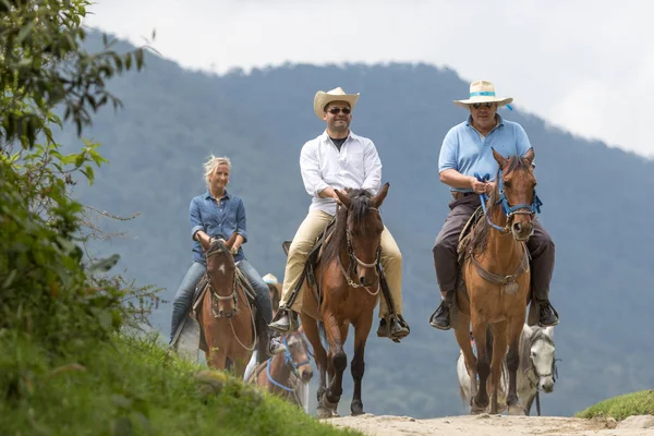 Hesteryg turister i Salento Colombia - Stock-foto