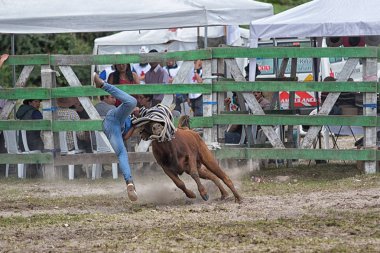   boğa güreşi Sangolqui, Ecuador