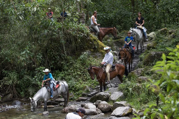Paard terug toeristen in Valle de Cocora, Colombia — Stockfoto