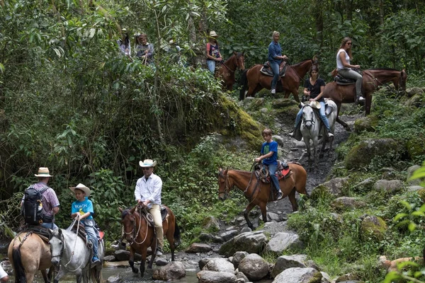 February 2017 Valle Cocora Colombia Tourists Horse Back Crossing River — Stock Photo, Image