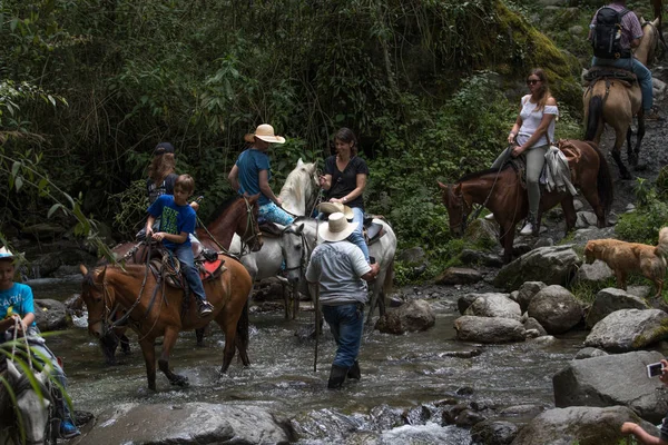 Hest tilbage turister i Valle de Cocora, Colombia krydser en flod - Stock-foto
