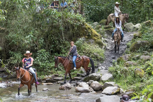 Häst tillbaka turister i Valle de Cocora, Colombia — Stockfoto