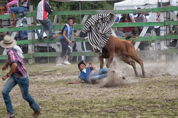 Genç adam Sangolqui, Ecuador olay bir boğa tarafından koştu — Stok fotoğraf